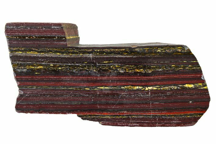 Polished Tiger Iron Stromatolite Slab - Billion Years #317910